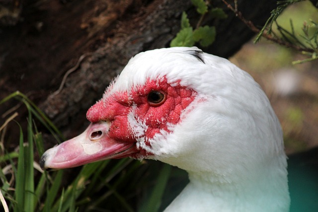 会立即被其 会立即被其