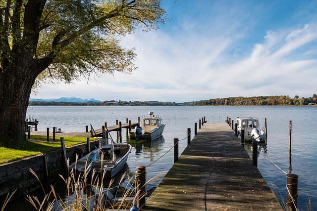 他們並不介 他們並不介