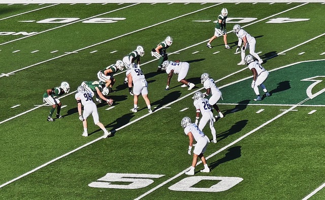 大马在名次 大马在名次