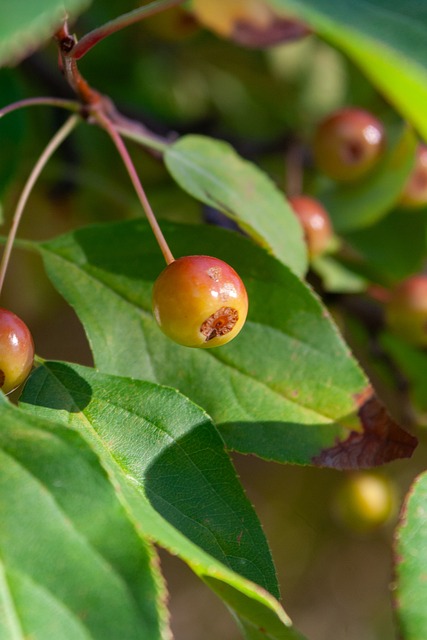 展望未來 展望未來