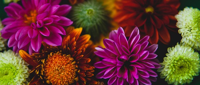 动和灵巧的 动和灵巧的